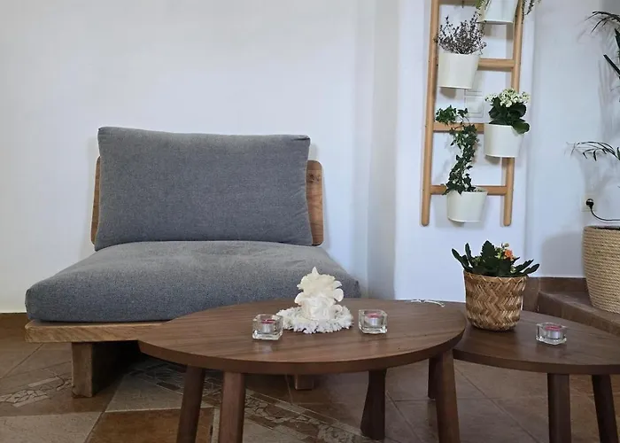 Tamarisk House-an Ideal Getaway In Southern Paros 公寓